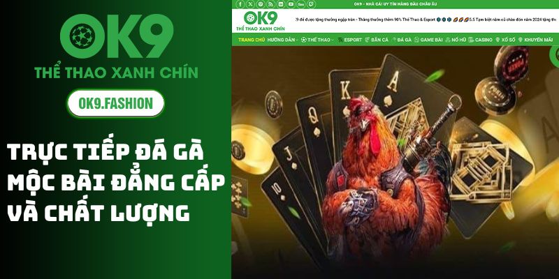 Trực Tiếp Đá Gà Mộc Bài