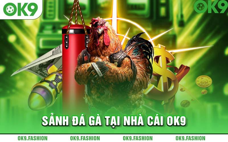 Sảnh Đá Gà tại nhà cái OK9